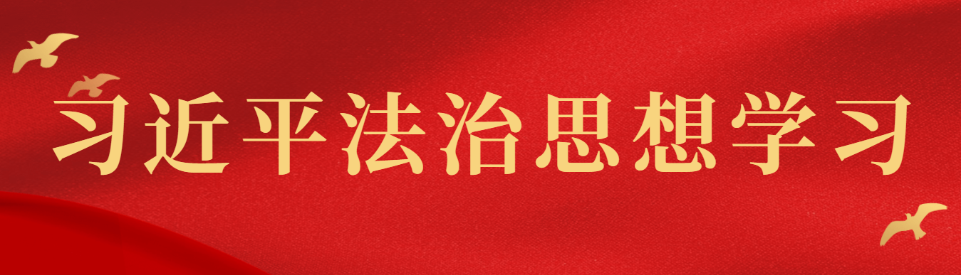 習近平法治思想學習